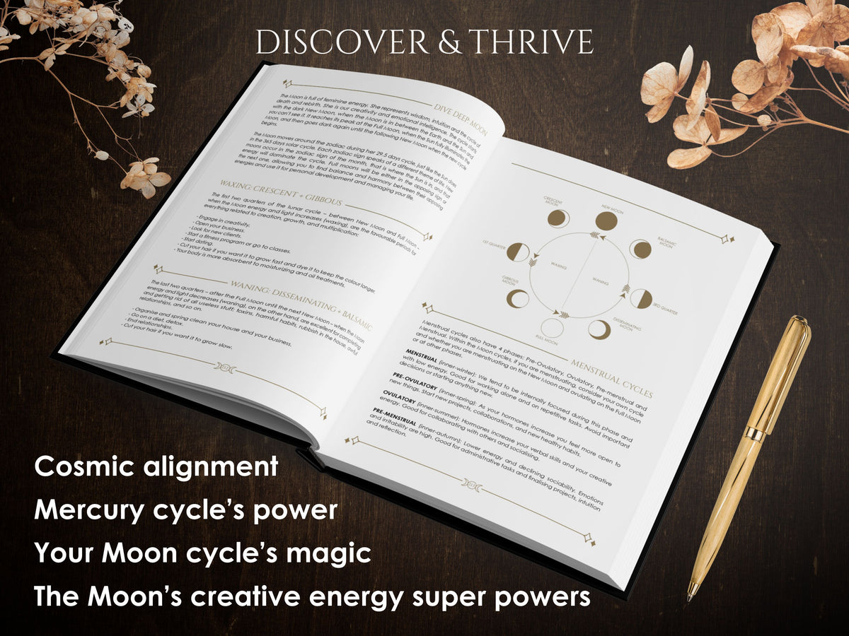 Cosmoplanner 2027 Create Starter Kit