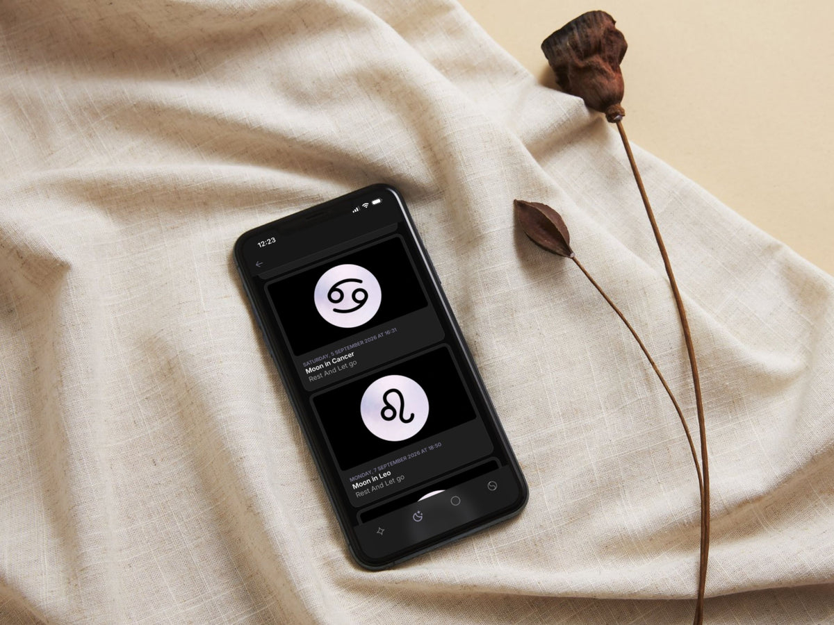The Moon Flow 2027 App
